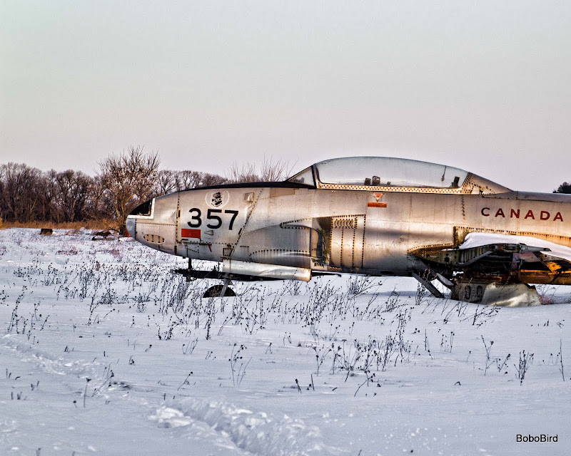 IMAGE: http://lh4.ggpht.com/_CJO7PukdLlc/TUmYx6dTomI/AAAAAAAAEoU/q3AWc3SDEtI/s800/20110130_5258.jpg