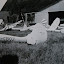 n813491854_1297494_3205.jpg