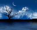 [night[4].jpg]