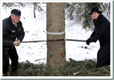 mayors cutting tree
