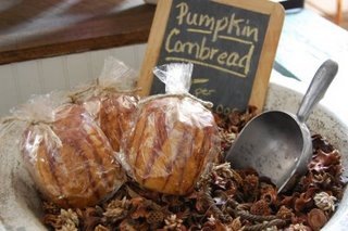 [fall_favorite[1].jpg]