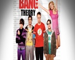 The Big Bang Theory Season 4 The Big Bang Theory Season 4