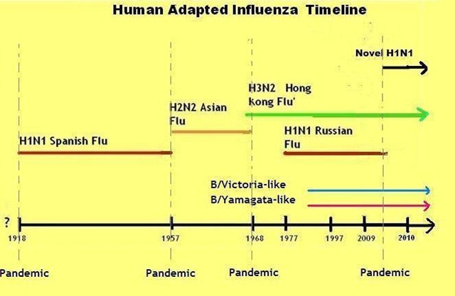 [Flu Timeline 2010[18].jpg]