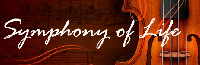 When Simple Things Can Do More To Satisfy Symphony of Life