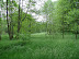 DSC00622.JPG