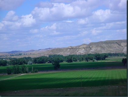 Billings and Great Falls, MT 065