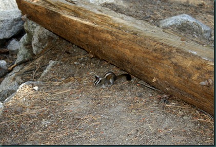 Sequoia National Park 144