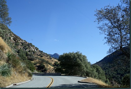 Sequoia National Park 032