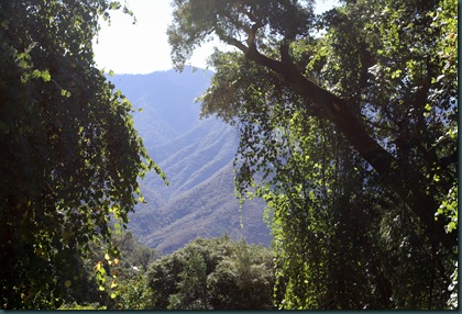 Sequoia National Park 066