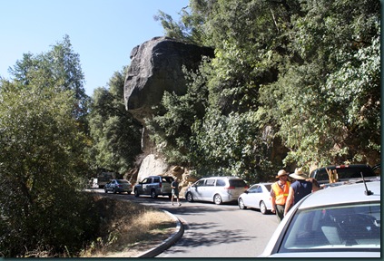 Sequoia National Park 069