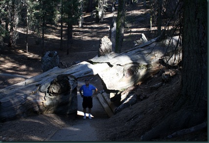 Sequoia National Park 257