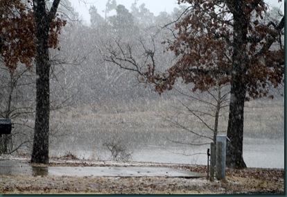 Snow, bread and geese 027