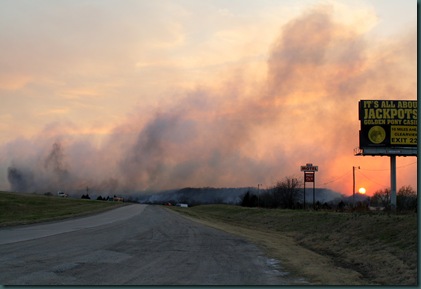 Wildfire and Bentley 017