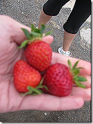 IMG_3249 IMG_3249
