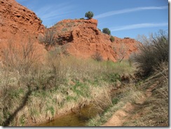 2010-4-11  Palo Duro CANYON 008