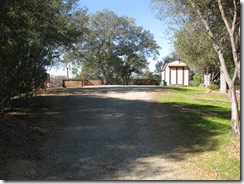 IMG_0858 IMG_0858