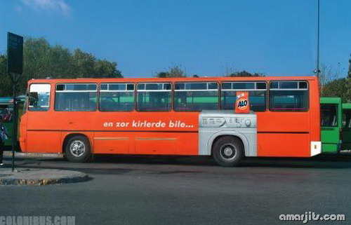 Painted Bus Adverts amarjits(12)