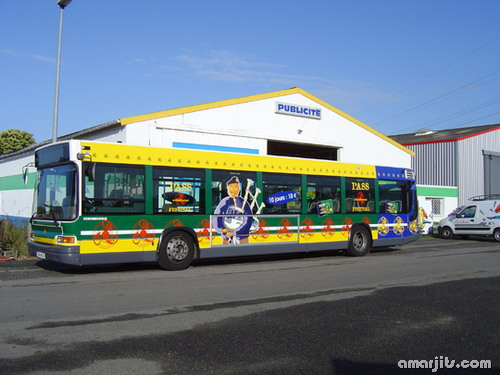 Painted Bus Adverts amarjits(31)