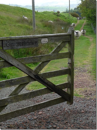 Rothbury walk 1 003