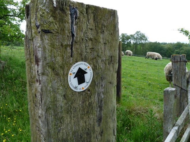 [Rothbury walk 2 006[3].jpg]