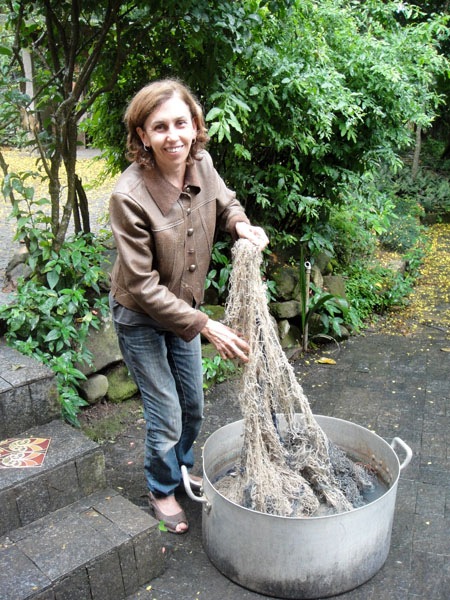 [Nara Guichon[5].jpg]