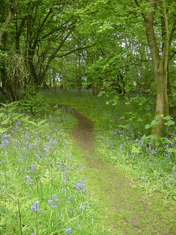 [Everdon Stubbs 013[5].jpg]
