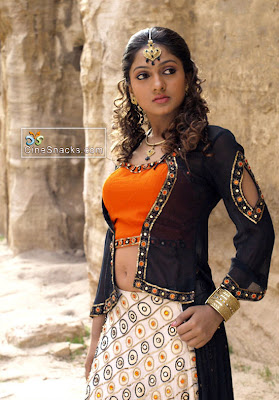 South Indian Collections sheela Stills 11 %281%29