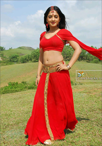 South Indian Collections sheela Stills 11 %282%29