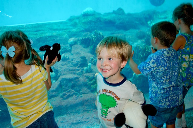 [emmaandskylarlookingatdolphins21of14.jpg]