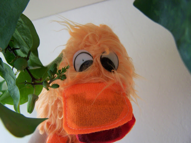 http://lh4.ggpht.com/_Cd9r9JzoApQ/S-WdJyOjGDI/AAAAAAAAC_U/9vlGlb_cAeY/s640/101_1749.JPG