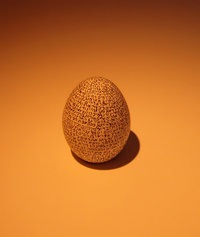 200pxgenesisoneggcroppe