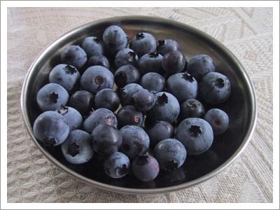 [09182003_blueberries[2].jpg]