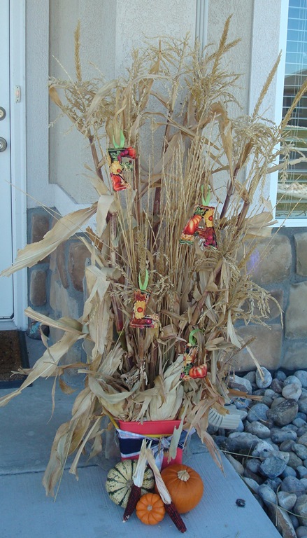 [Harvest 012[11].jpg]
