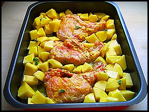 SV102478 SV102478
