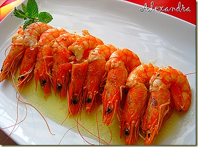 IMG_1095 IMG_1095