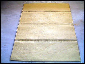 SV100096 SV100096