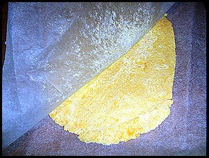 SV100630 SV100630