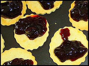 SV101491 SV101491