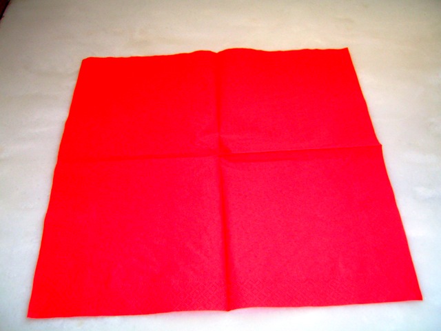 [SV1066434.jpg]