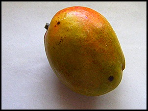 SV103794 SV103794