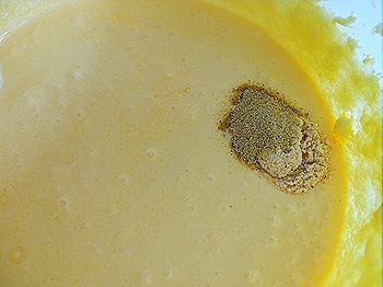 DSCN3464 DSCN3464