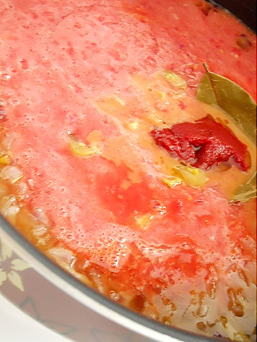 DSCN7064 DSCN7064