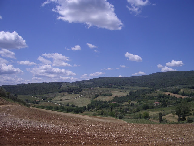IMGP1465.JPG