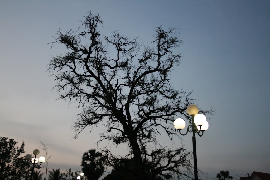 รูปภาพ