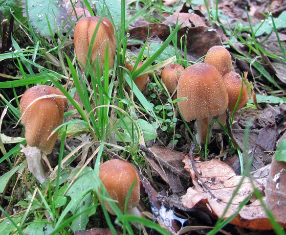 [20081225 Metre 007[3].jpg]