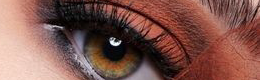 [eyelashes[4].png]