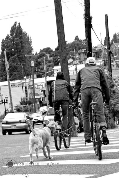 [Preferred Mode of Travel-2 copy[4].jpg]