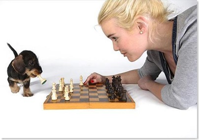 caozinho jogando xadrex