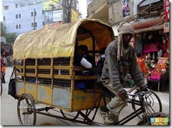 school_buses26