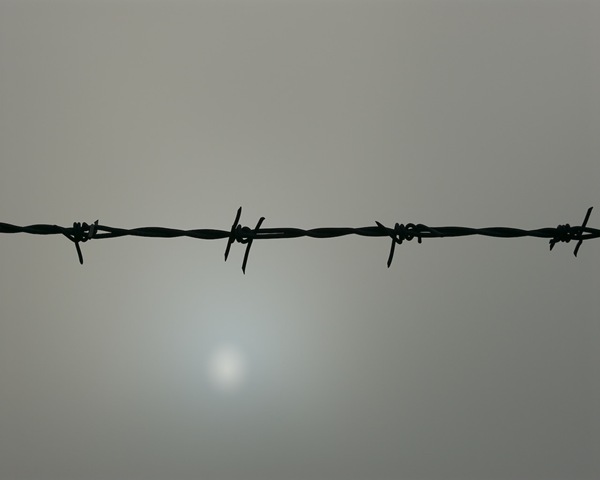 [bw_barbed_wire_and_sun[12].jpg]